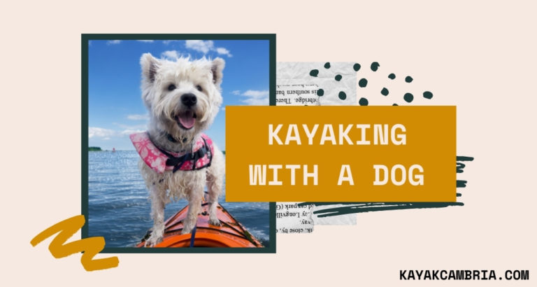 Kayaking With a Dog