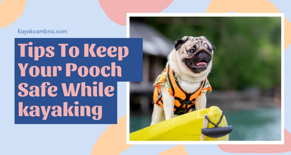 Tips To Keep Your Pooch Safe While kayaking
