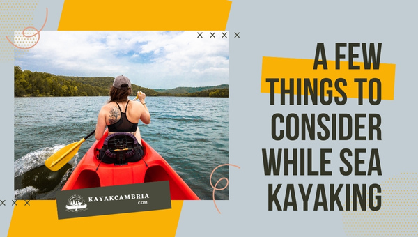 A Few Things to Consider While Sea Kayaking