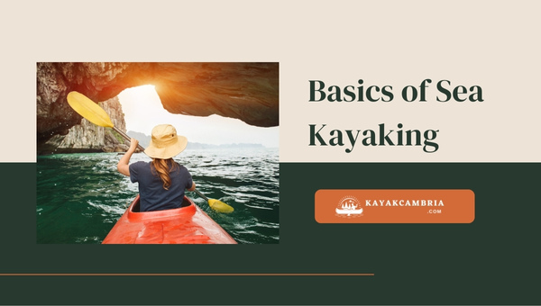 Basics Of Sea Kayaking: Must Know For Beginners