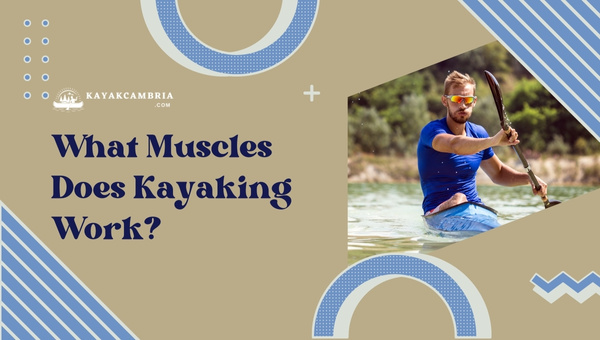 What Muscles Does Kayaking Work? Head To Toes While Paddling