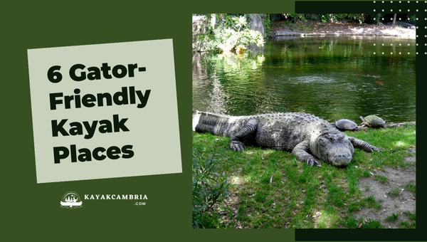 6 Gator-Friendly Kayak Places