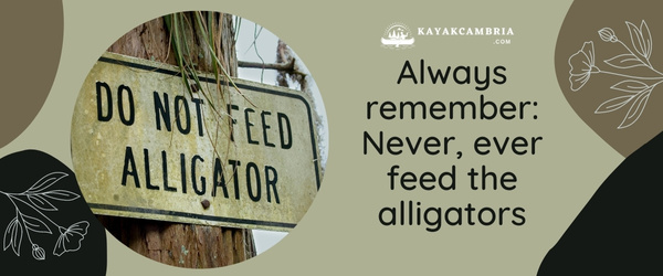 Always remember: Never, Ever Feed The Alligators