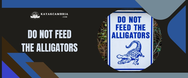 Do Not Feed The Alligators