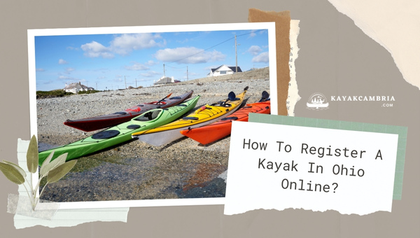 How To Register A Kayak In Ohio Online? (2024)