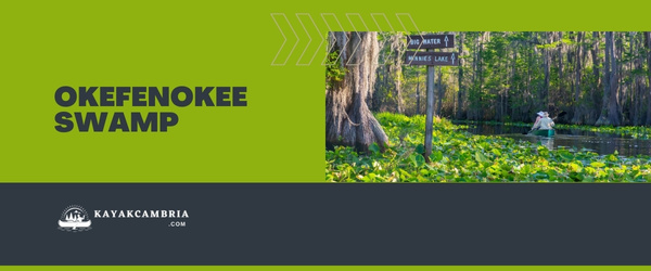 Okefenokee Swamp