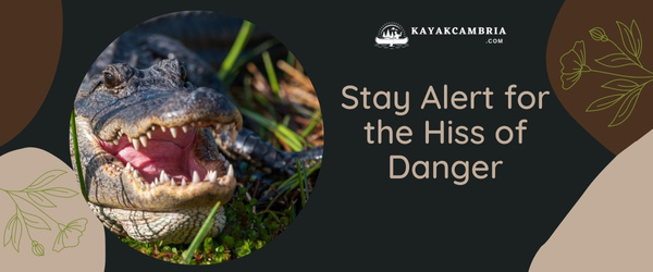 Stay Alert For The Hiss Of Danger