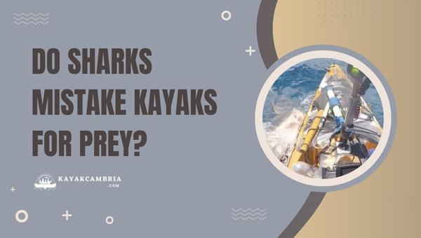 Do Sharks Mistake Kayaks For Prey?