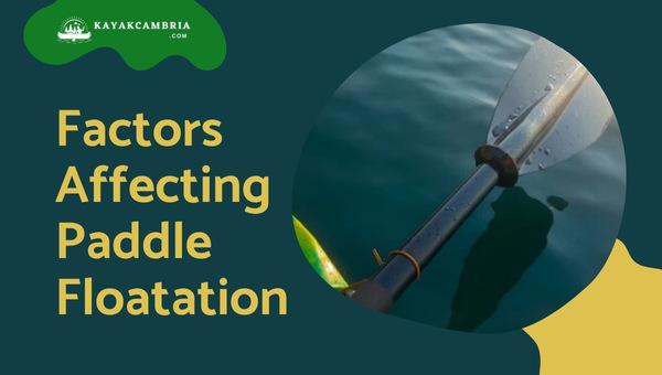 Factors Affecting Paddle Floatation