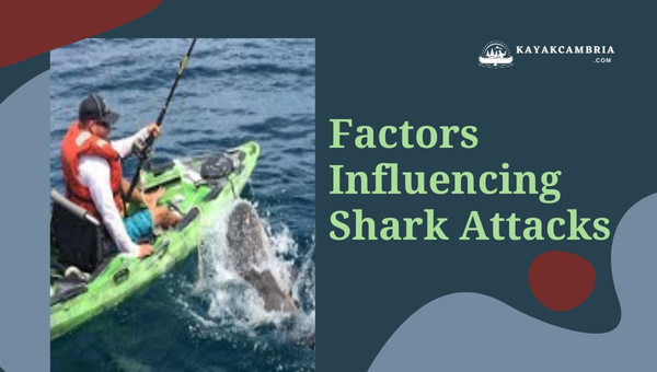 Factors Influencing Shark Attacks