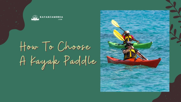 How to Choose A Kayak Paddle in [cy]? Expert Tips & Tricks