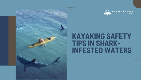 Kayaking Safety Tips In Shark-Infested Waters