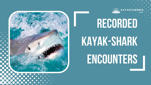 Recorded Kayak-Shark Encounters
