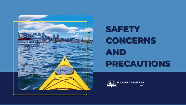 Safety Concerns And Precautions