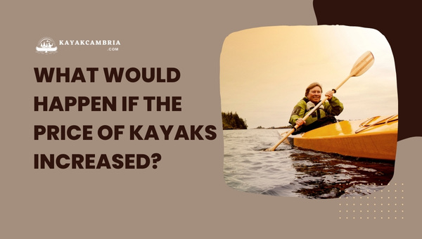 What Would Happen If The Price Of Kayaks Increased in [cy]?
