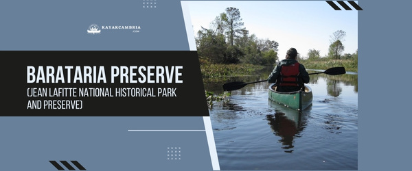 Barataria Preserve - Kayaking Locations In New Orleans (2023)