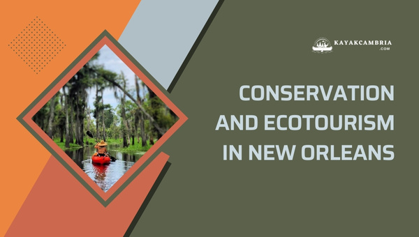 Kayaking For A Cause: Conservation And Ecotourism In New Orleans