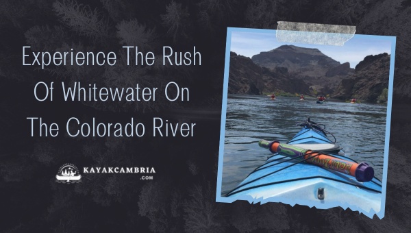 Experience The Rush Of Whitewater On The Colorado River