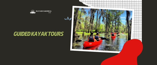 Guided Kayak Tours