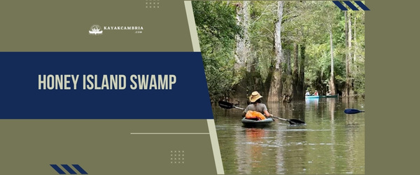 Honey Island Swamp - Kayaking Locations In New Orleans (2023)