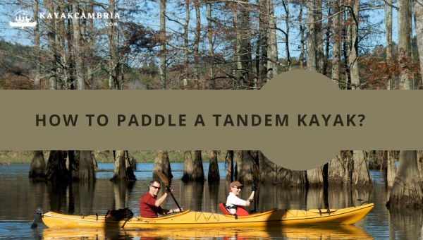 How To Paddle A Tandem Kayak in [cy]? [Master the Waves]