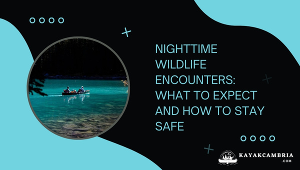 Nighttime Wildlife Encounters: What To Expect And How To Stay Safe?
