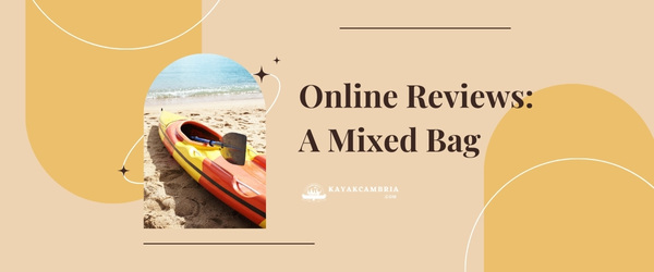 Online Reviews: A Mixed Bag