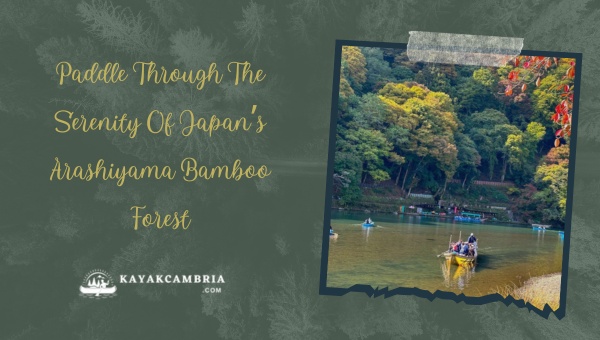 Paddle Through the Serenity of Japan's Arashiyama Bamboo Forest