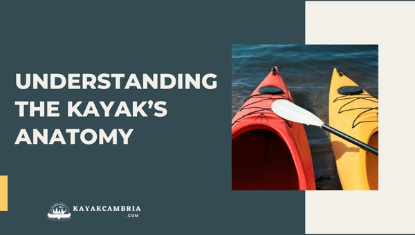 Understanding The Kayak's Anatomy