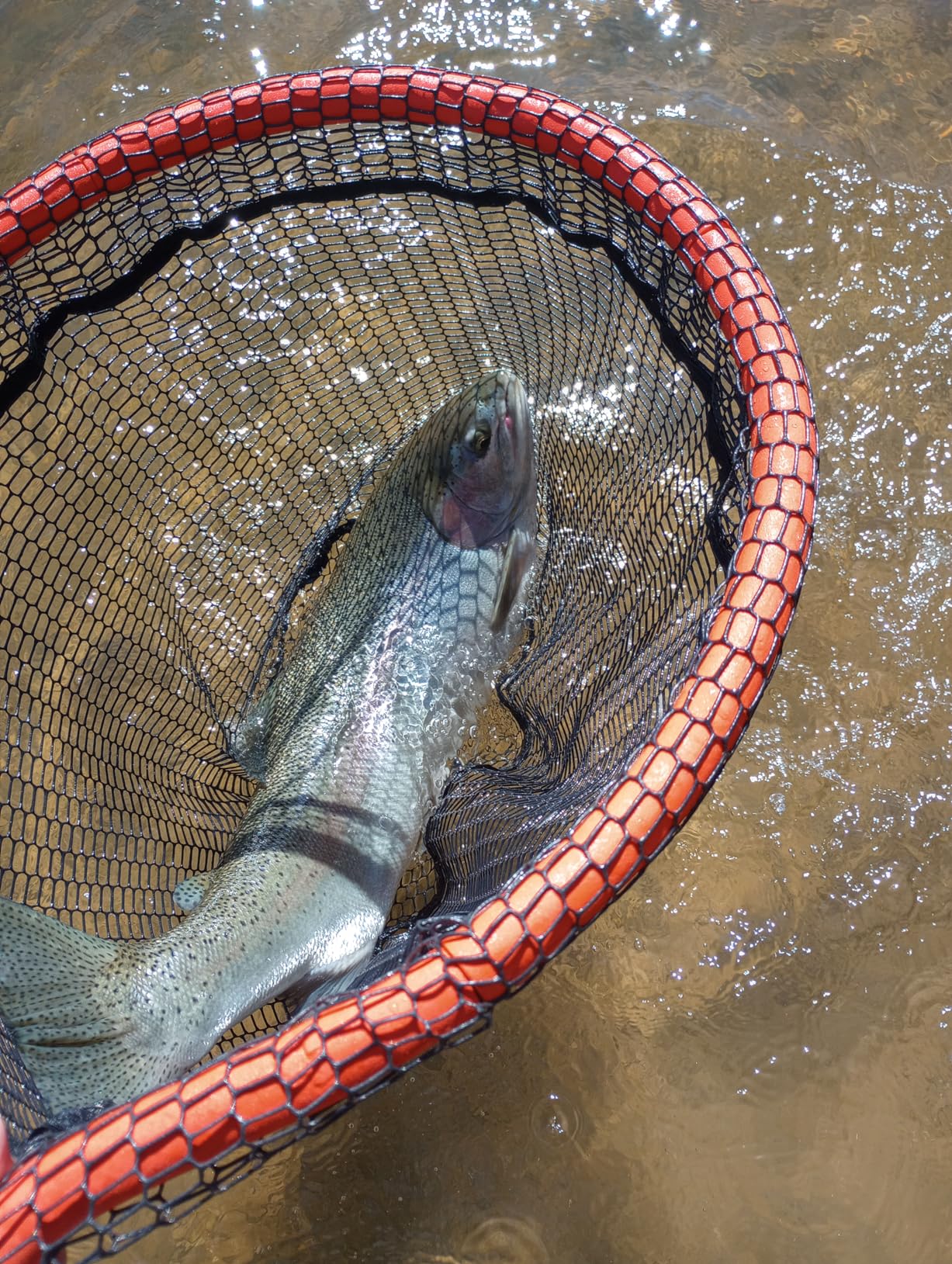 ForEverlast Inc. Generation 2 Floating Landing Net, Non-Snag for Wade, Fly & Kayak Fishing customer photo 1