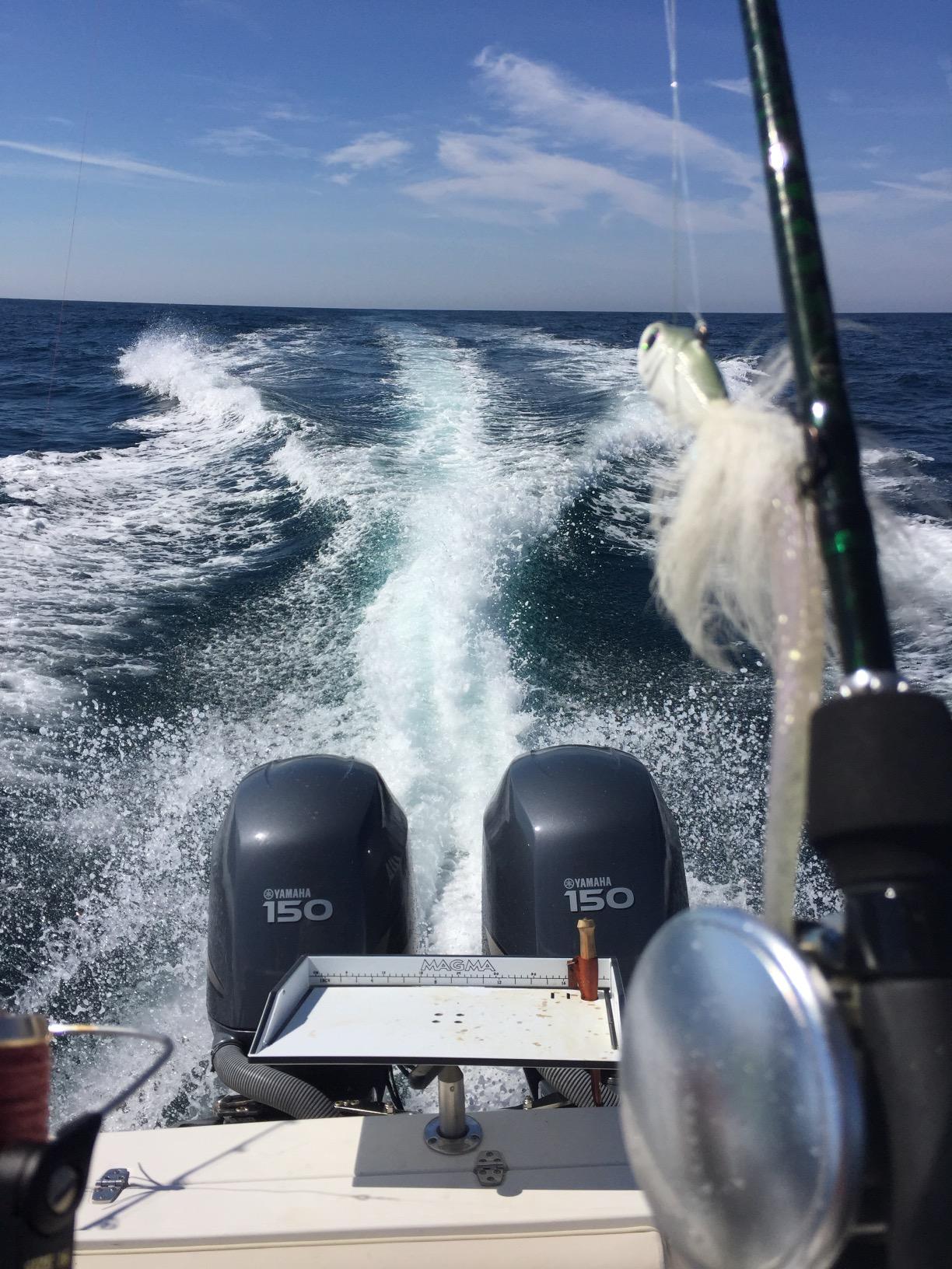 Magma Products Combination Bait/Filet Mate and Levelock Rod Holder Mount customer photo 2