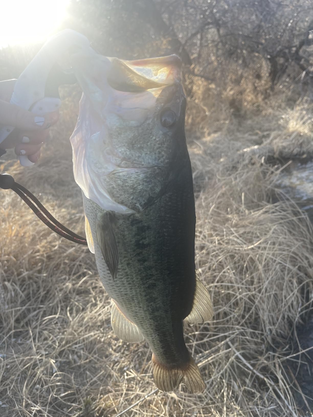 Floating Fish Gripper by Rapala customer photo 1