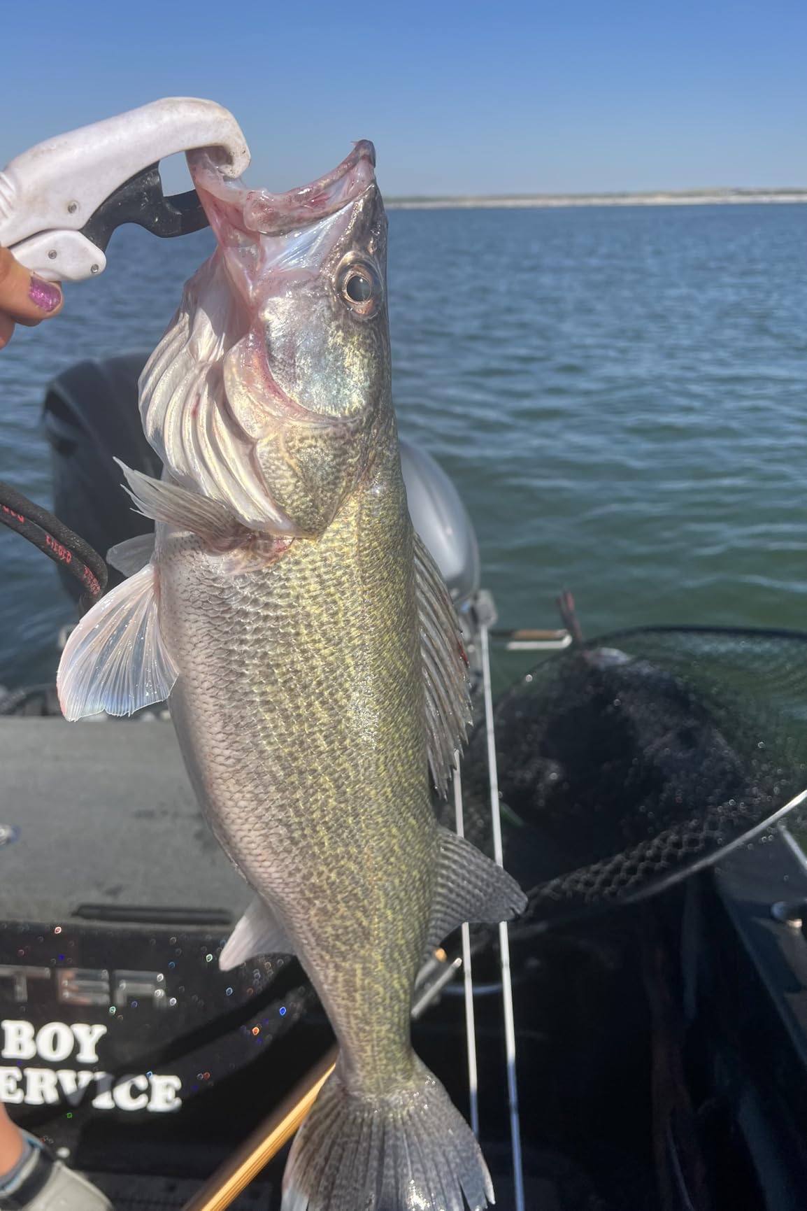 Floating Fish Gripper by Rapala customer photo 2