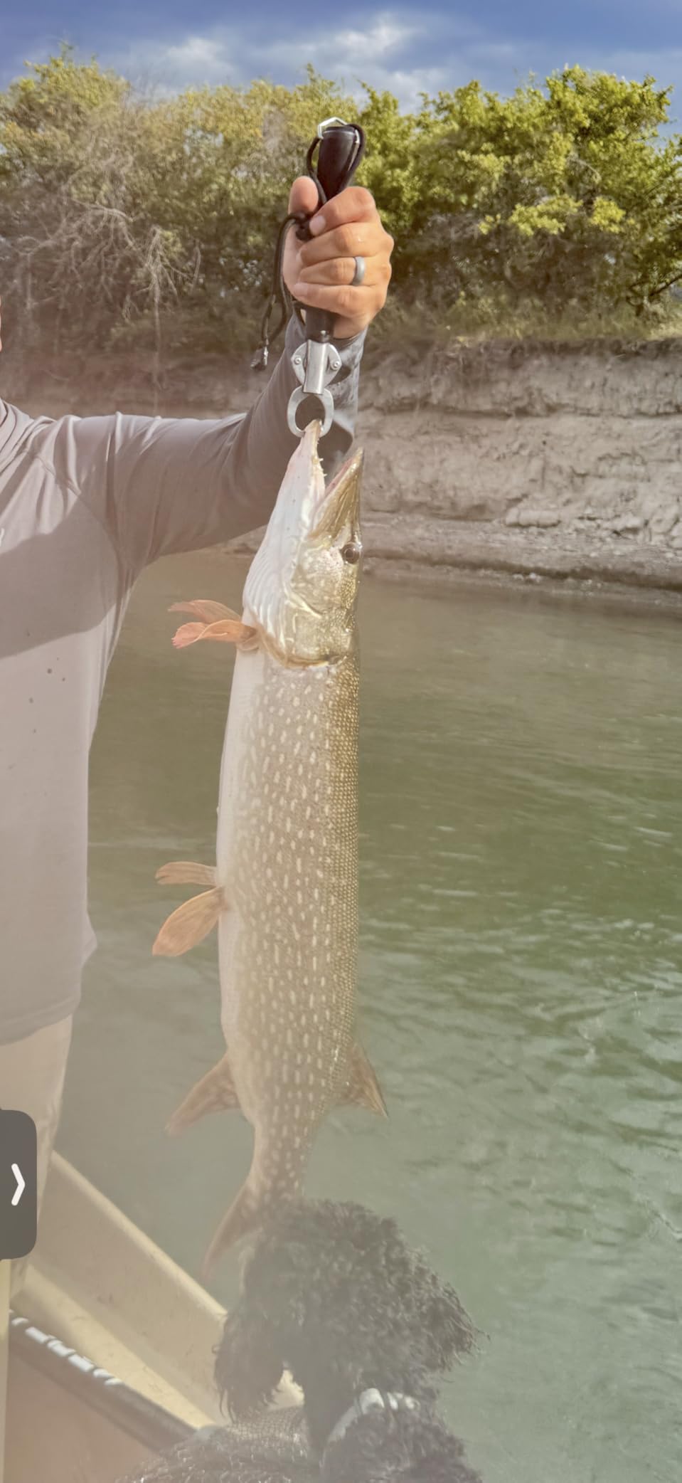 Fish Lip Gripper Fish Scales Professional Fish Holder Stainless Steel Fish Lip Grabber 40 Pound Fish Lip Grip Tool with Weight Scale customer photo 1