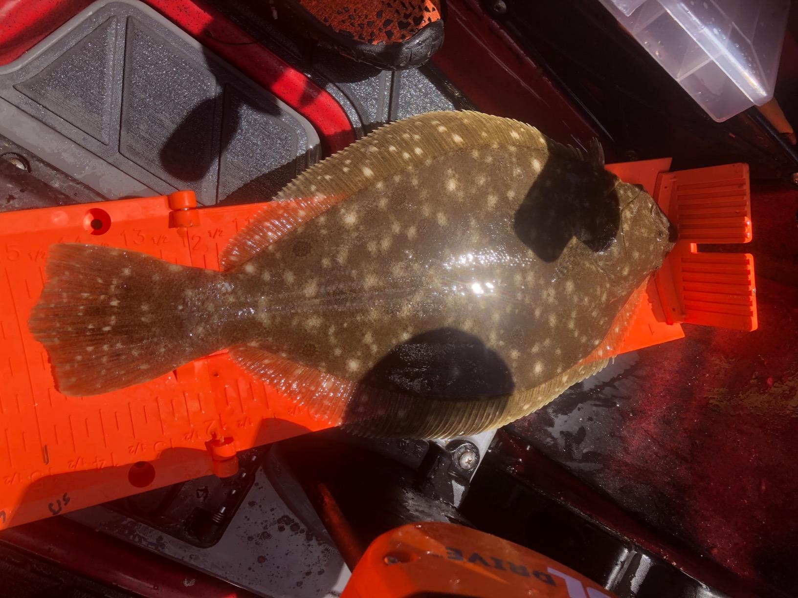 YakGear Fish Stik - Folding Fish Ruler customer photo 2