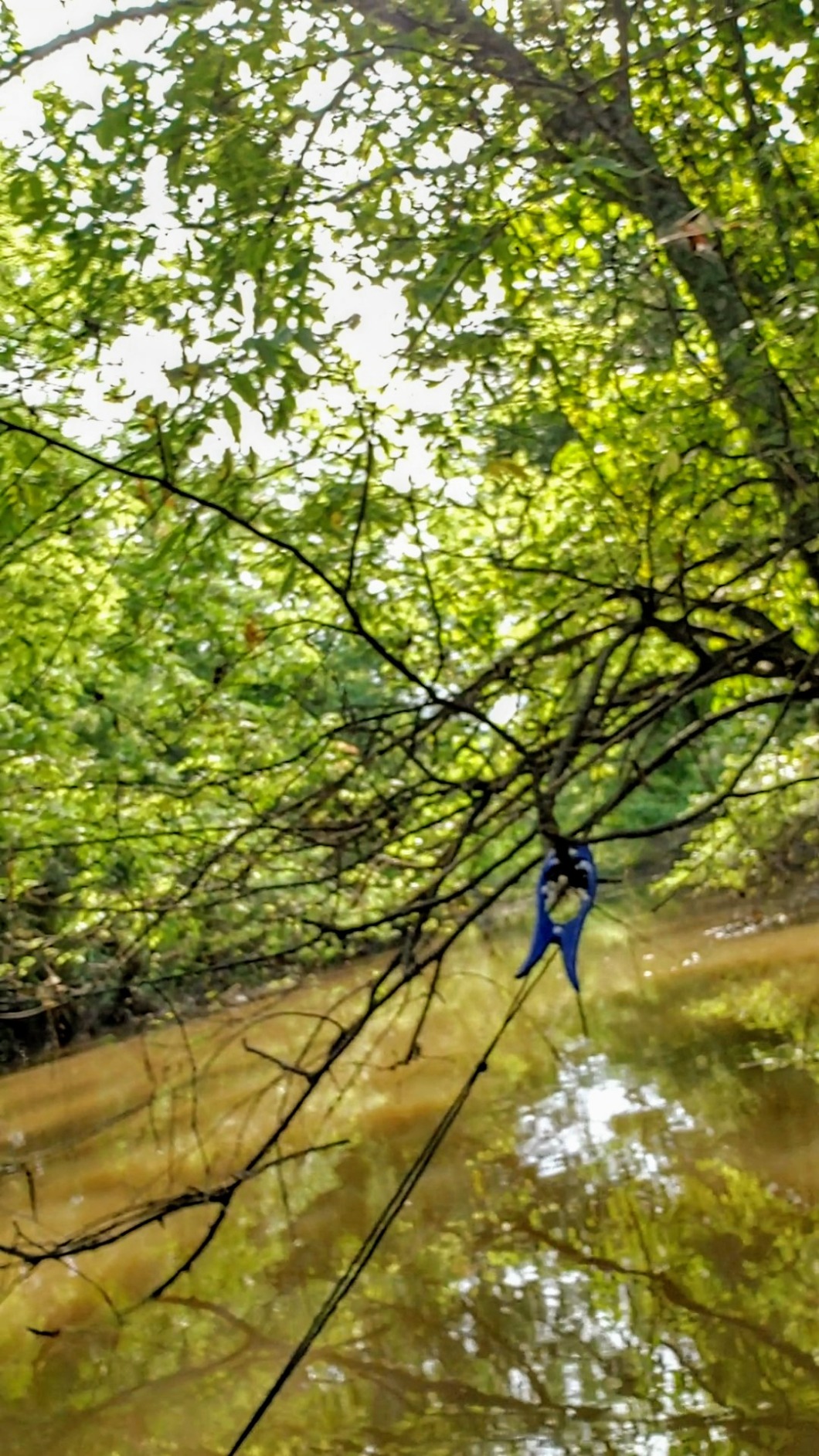 The Original Brush Gripper Made in The USA. Securely Anchor Your Kayak, Canoe or Boats up to 22 feet in Seconds. The Harder You Pull The Tighter It Grips customer photo 1