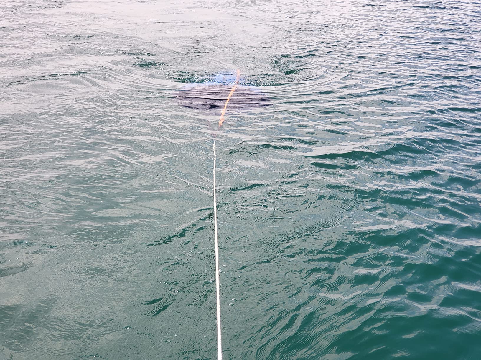 MOOCY Drift Sock, All Size Ocean Anglers Fishing Drogue for Boat/Kayak/Pontoon (18in) customer photo 1
