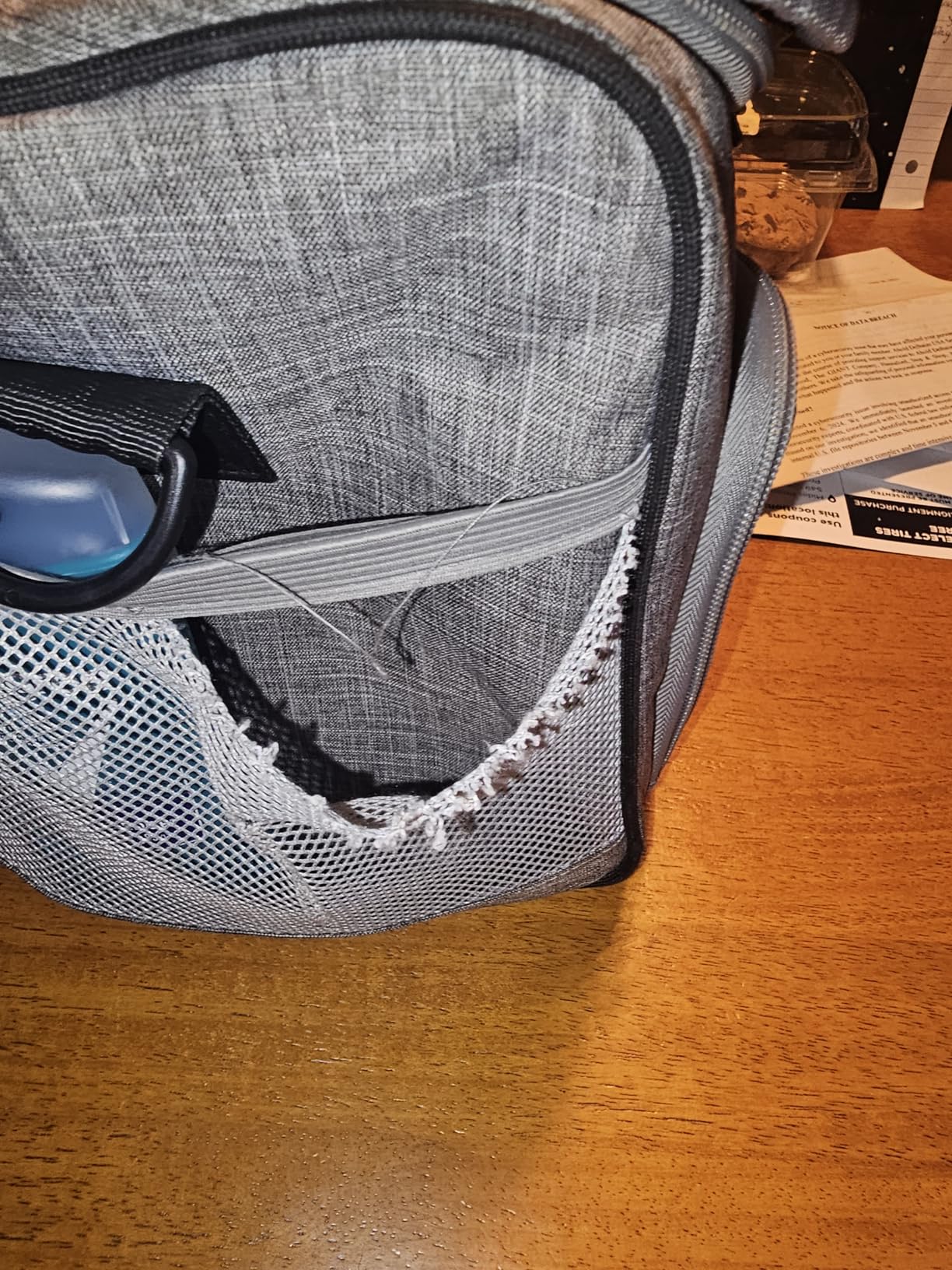 Amazon Basics Soft Insulated Cooler customer photo 1