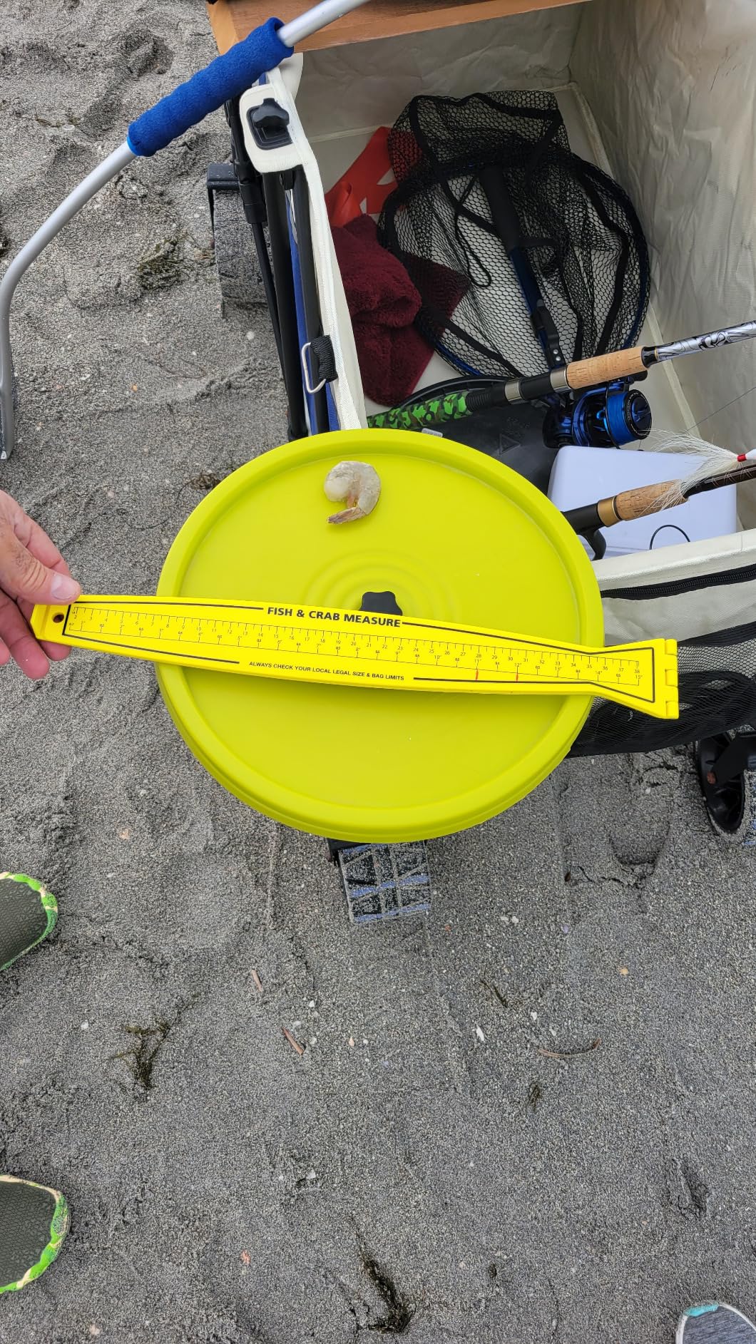 Fish Measuring Board - 32in Folding Fishing Ruler Lightweight Bump Board - Easy to Read and Portable Crab & Fish Measure Device, Fish Ruler for Boat, Kayak, Yellow customer photo 2