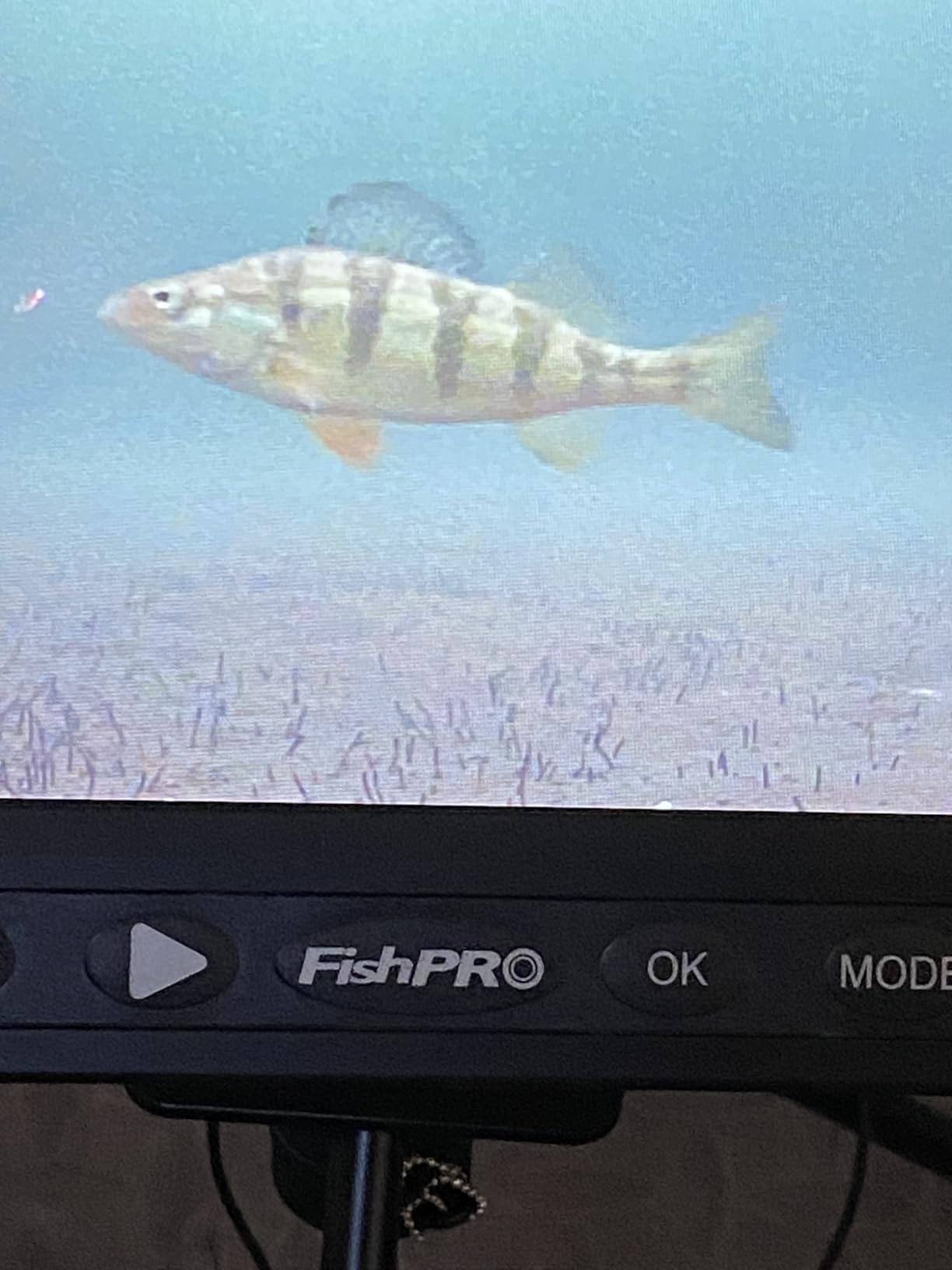 [FishPRO 2026 Upgrade] NO.1 HD 1080P Underwater Fishing Camera 7 IPS- w/10,000mAh (Ease To Use) Ice Fishing Camera Underwater, Fish Finder Camera for Ice Lake Boat Fishing w/USB-C, LED+IR, 25m/82ft customer photo 1