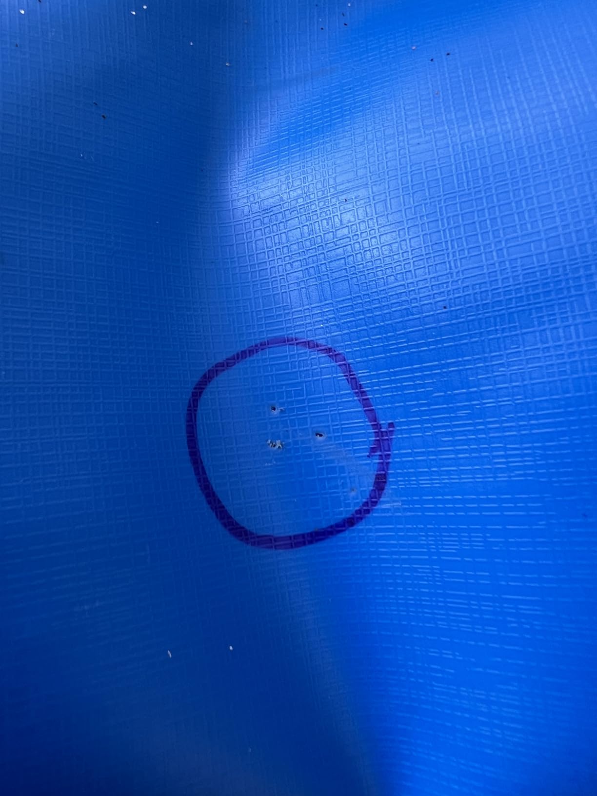 EPN Air Mattress Patch Kit, Waterproof Vinyl Pool Liner Repair Kit for Inflatables, Air Mattress, Swimming Ring, Tent, Bounce House, Inflatable Toys, Hot Tub, PVC Boat, Raft, Kayak (80 ML) customer photo 1