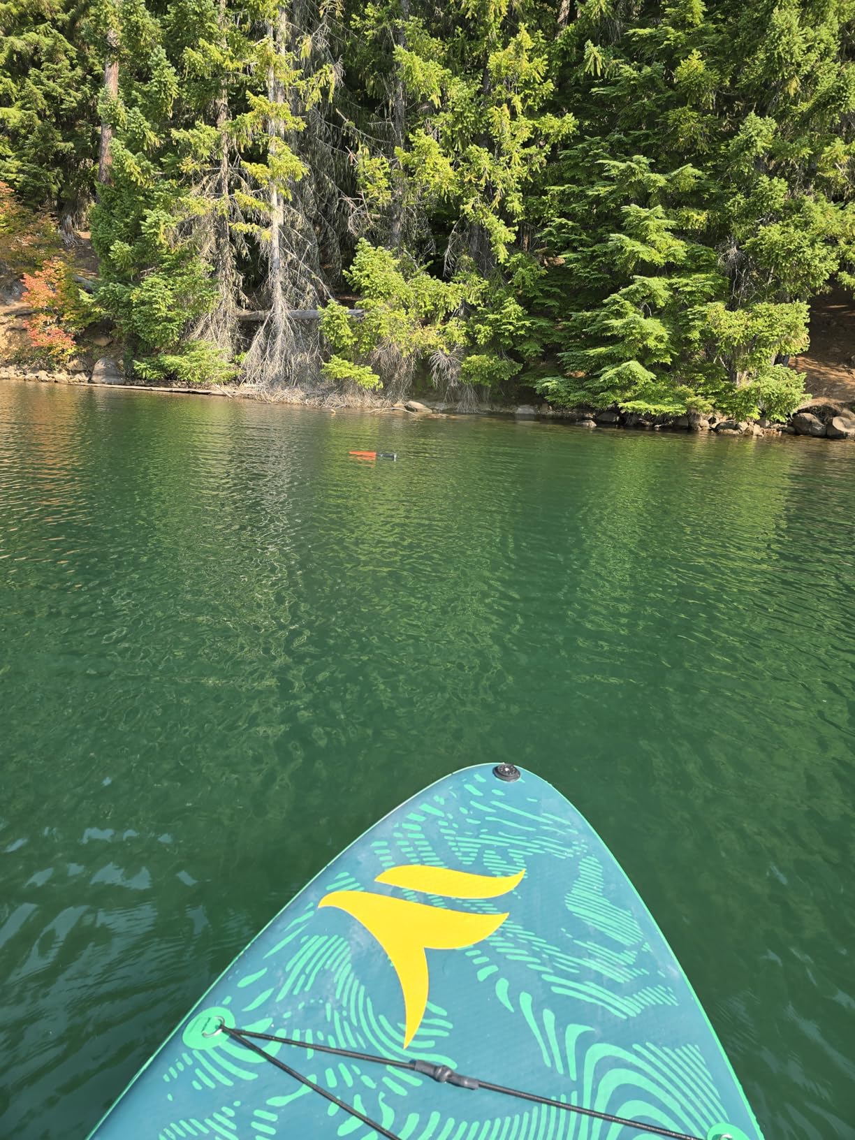 Skypath Paddle Float- Kayak Accessory for Paddle, SUP Board Accessory, High Density Foam, Adjustable EVA w/Hook & Loop Closure, Buoyancy, Kayak Flotation customer photo 1