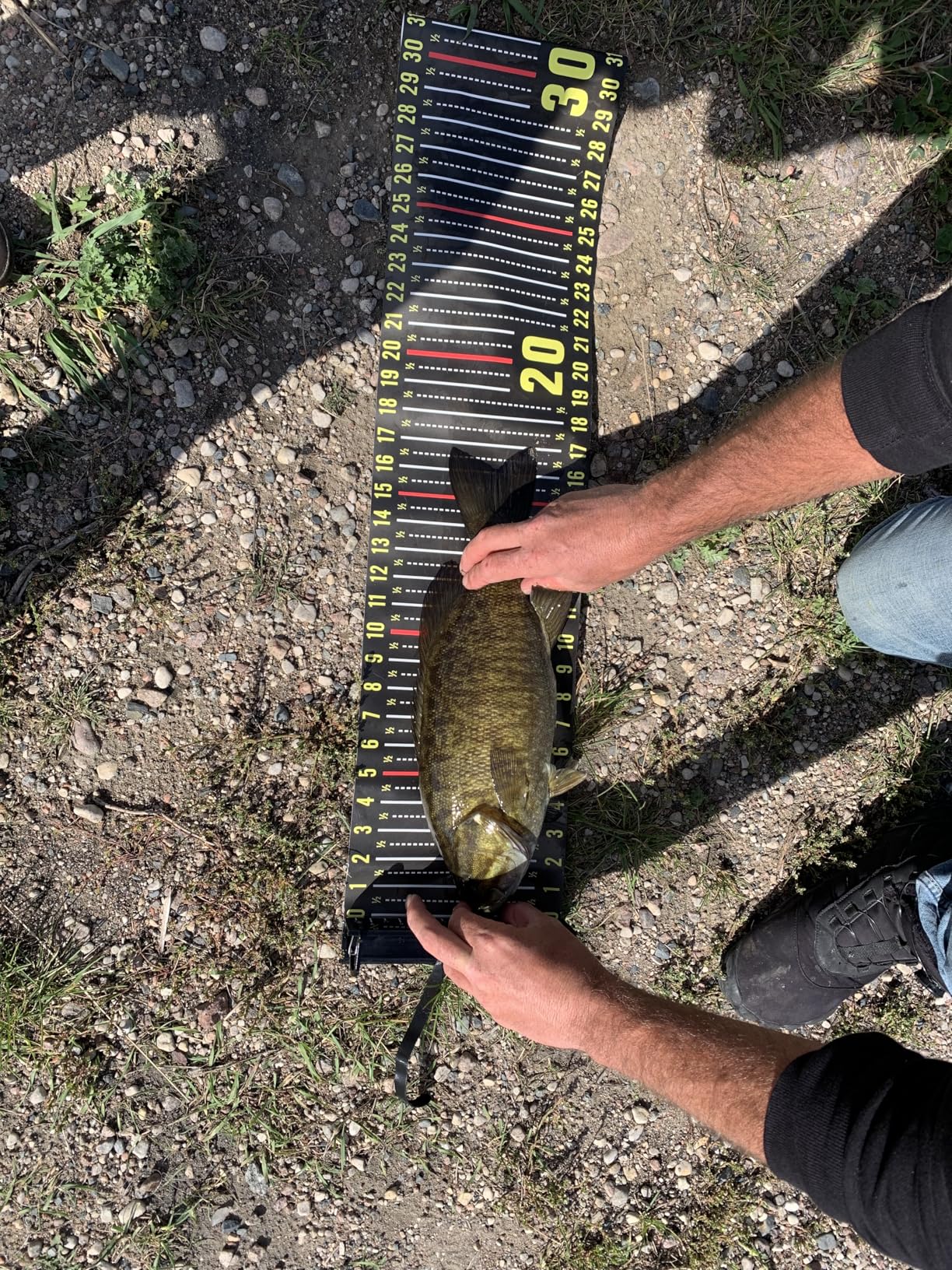 THKFISH 53in Fish Ruler with Measuring Board customer photo 1