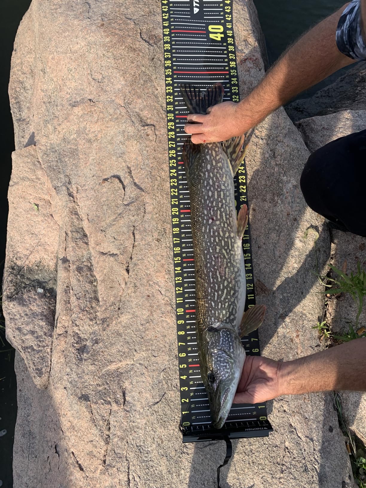 THKFISH 53in Fish Ruler with Measuring Board customer photo 2