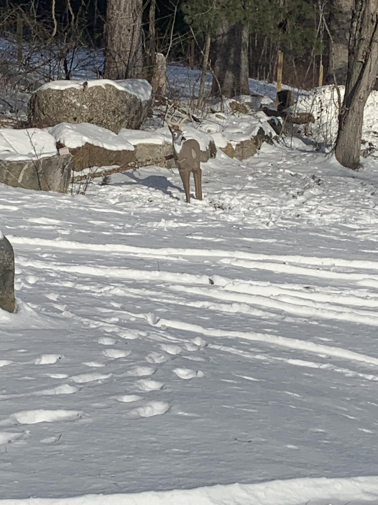 Riverbottom Challenger 3D Archery Target customer photo 1