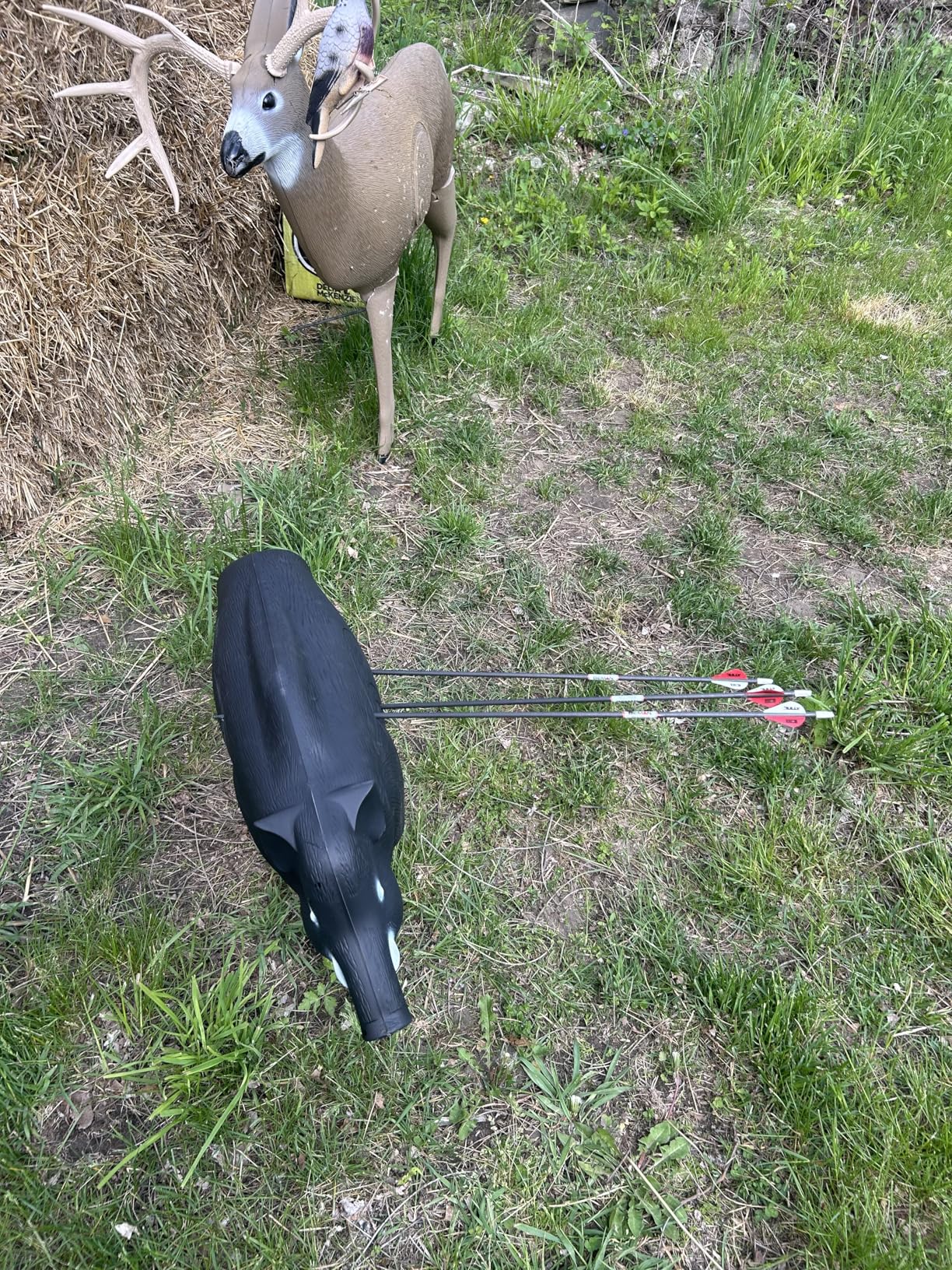 Shooter Field Logic 3D Archery Hog Target, Black, One Size customer photo 2