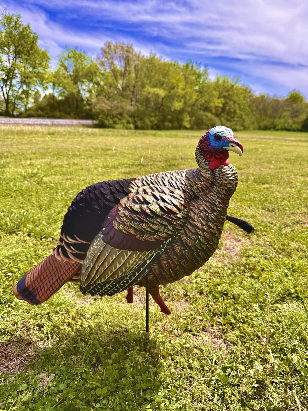 Avian-X HDR Jake Turkey Decoy customer photo 1