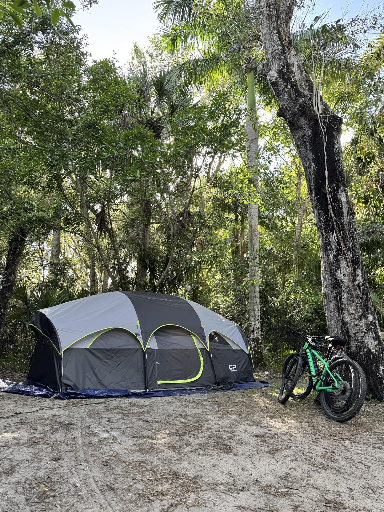CAMPROS CP Tent 8 Person Camping Tents, Weather Resistant Family Tent, 5 Large Mesh Windows, Double Layer, Divided Curtain for Separated Room, Portable with Carry Bag customer photo 2