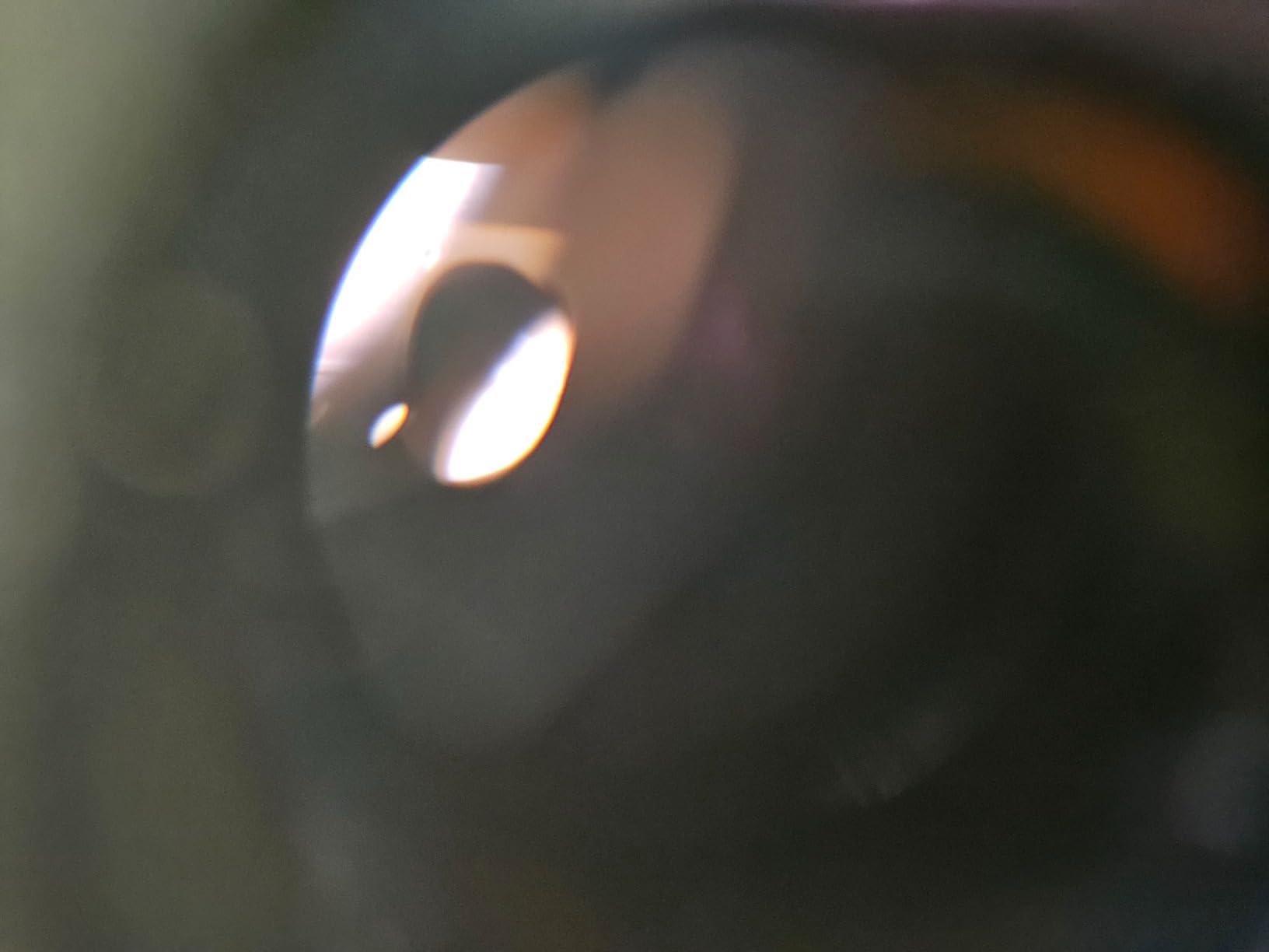 Maven RF.1 Hunting Rangefinder - 5-4500 YD with Angle Compensation, Waterproof customer photo 2