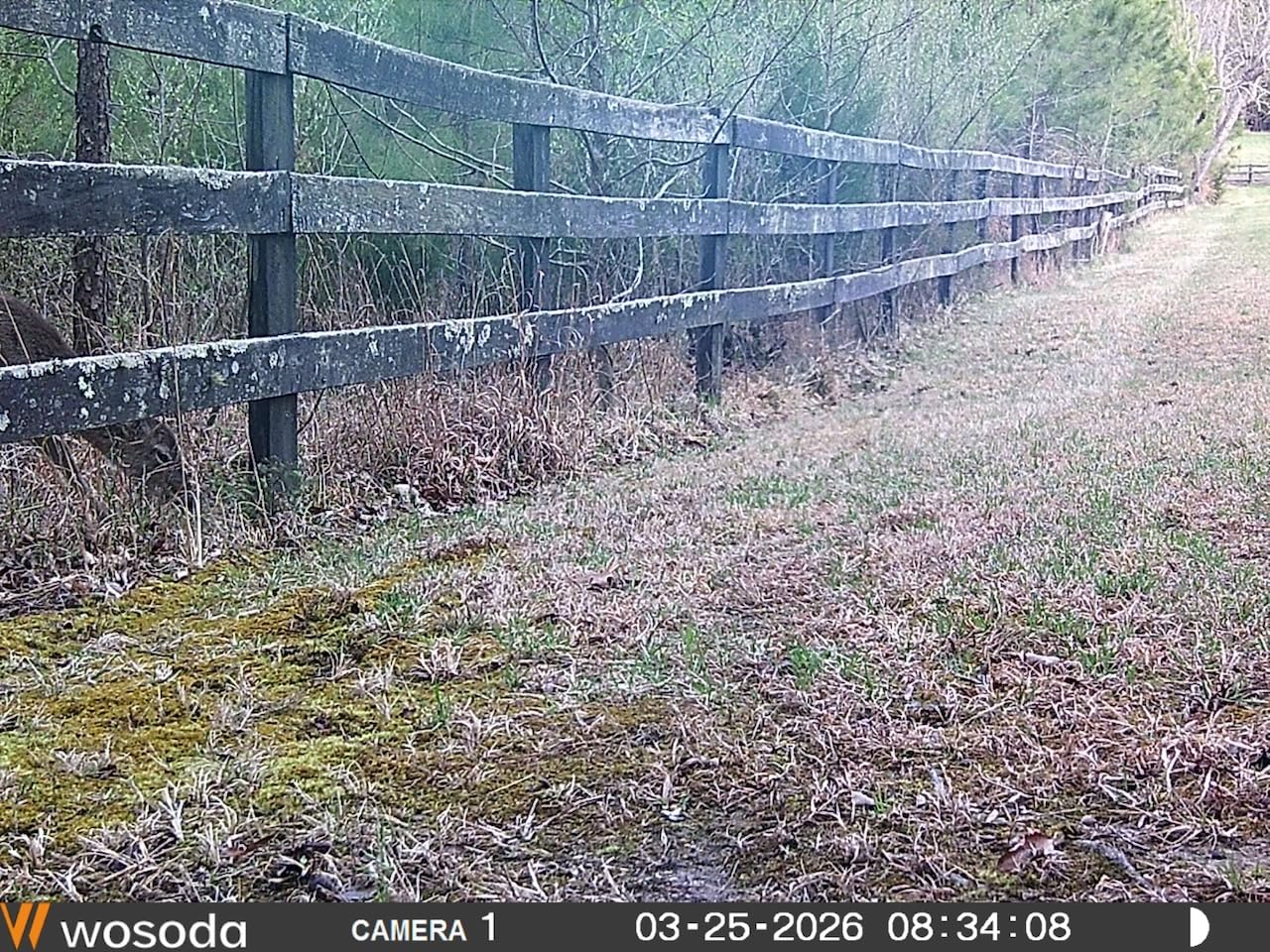 WOSODA 2 Pack Trail Camera with Night Vision Motion Activated Waterproof, 30MP Game Camera, 1080P HD Trail Cam with SD Card for Wildlife Monitoring customer photo 2
